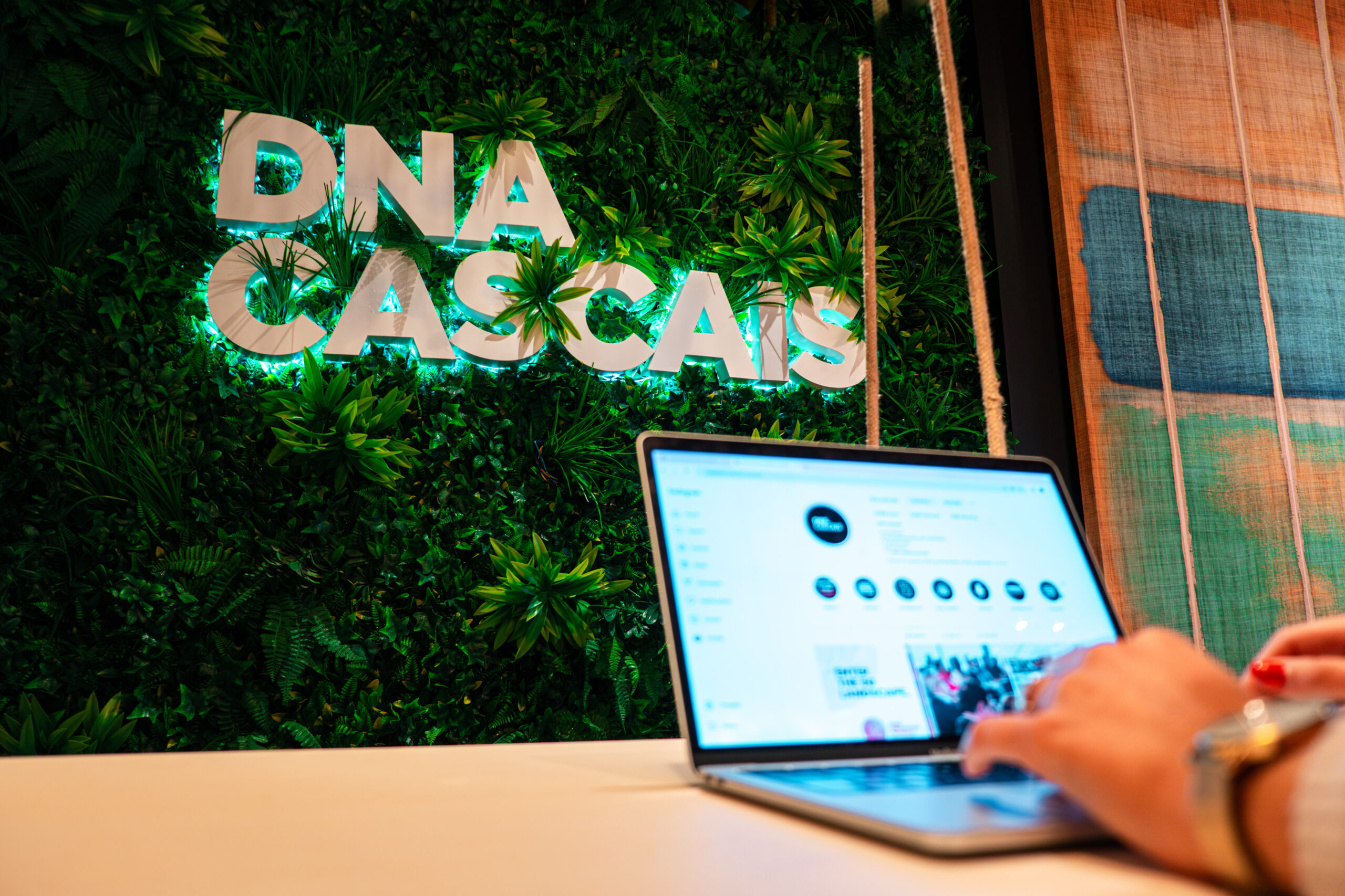 DSCF2202-Enhanced-NR