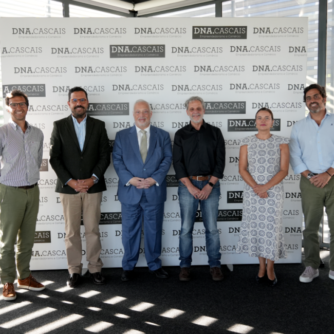 Blue Equipments - DNA Cascais